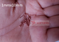 pinos da solda do CD da isolação do aço carbono de 1mmx10 milímetro para instrumentos de precisão